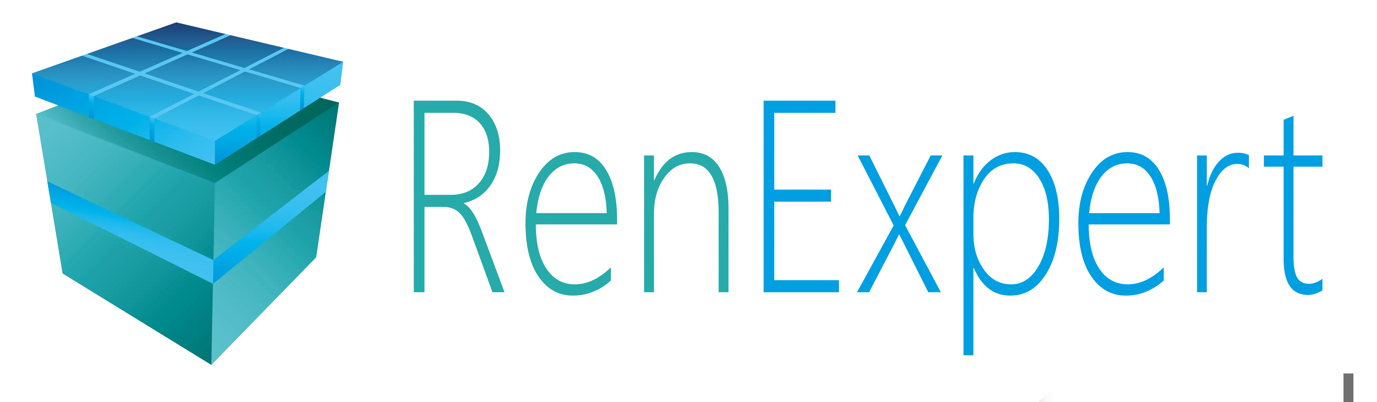 Logo RenExpert GmbH
